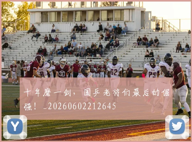 十年磨一剑,国乒老将们最后的倔强!_20260602212645