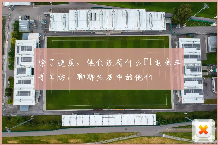 除了速度,他们还有什么F1电竞车手专访,聊聊生活中的他们